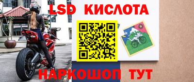 трава Гатчина