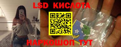 трава Гатчина