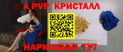 эйфоретик Гай