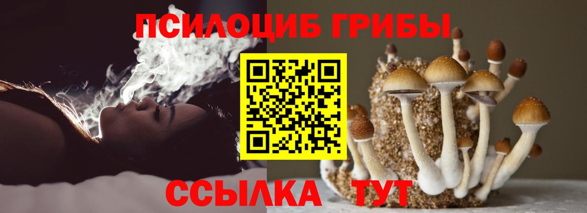 как найти закладки  Галлюциногенные грибы GOLDEN TEACHER  Вход с VPN  Псилоцибиновые грибы мицелий  Елизово 
